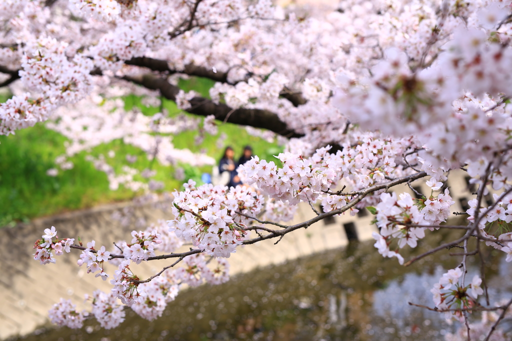 女子トークにも花を咲かせましょ