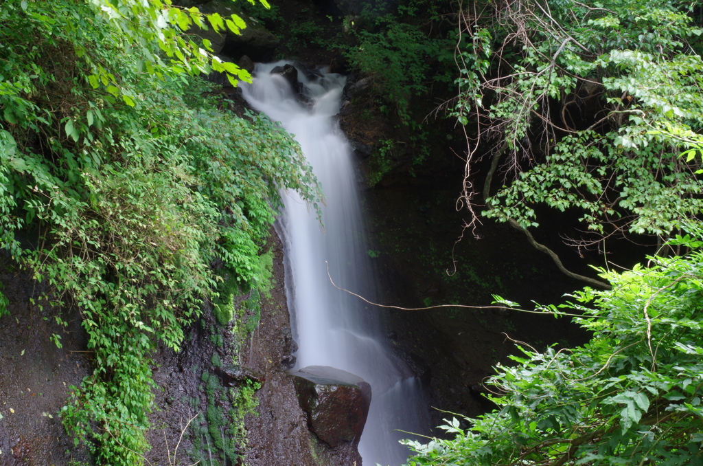 夏の一掴みの清涼感