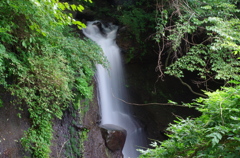 夏の一掴みの清涼感