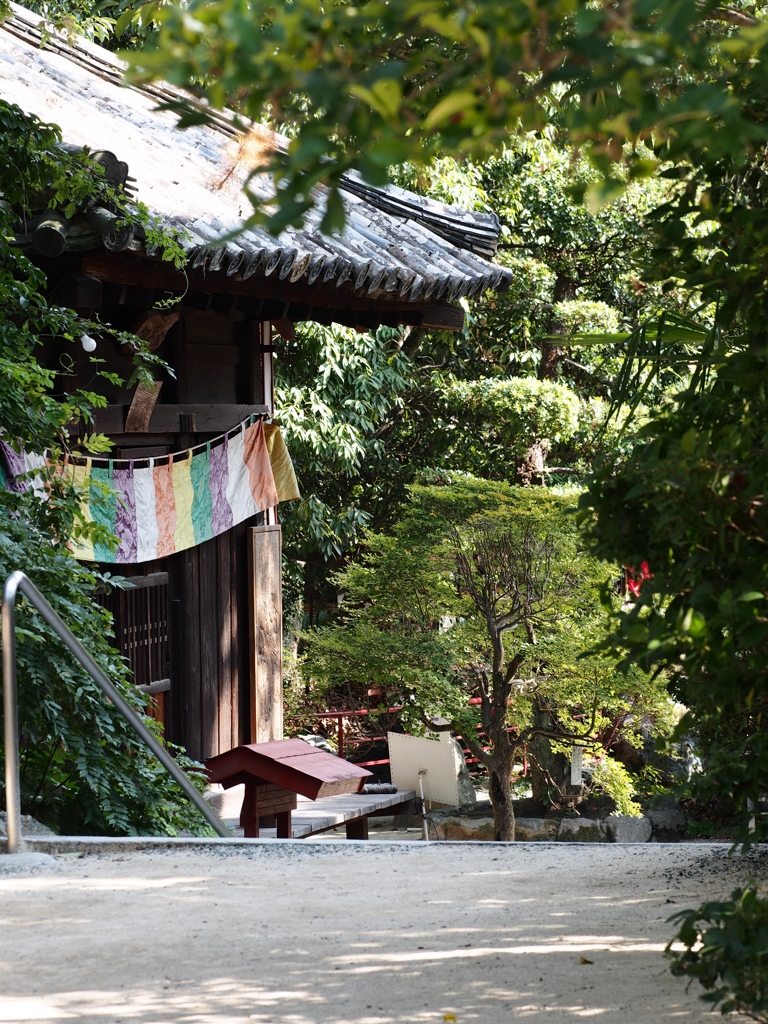 石手寺にて＃３