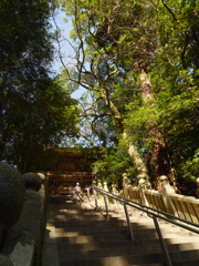 太山寺〜本堂への階段