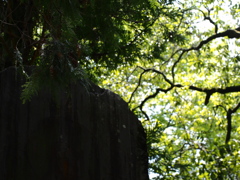 井山宝福寺石碑