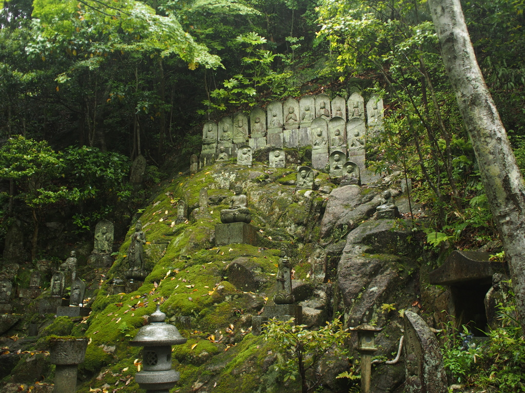 雨の三瀧寺＃１０