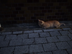 日が暮れるとともに
