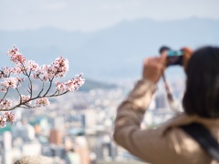 桜〜松山城＃１