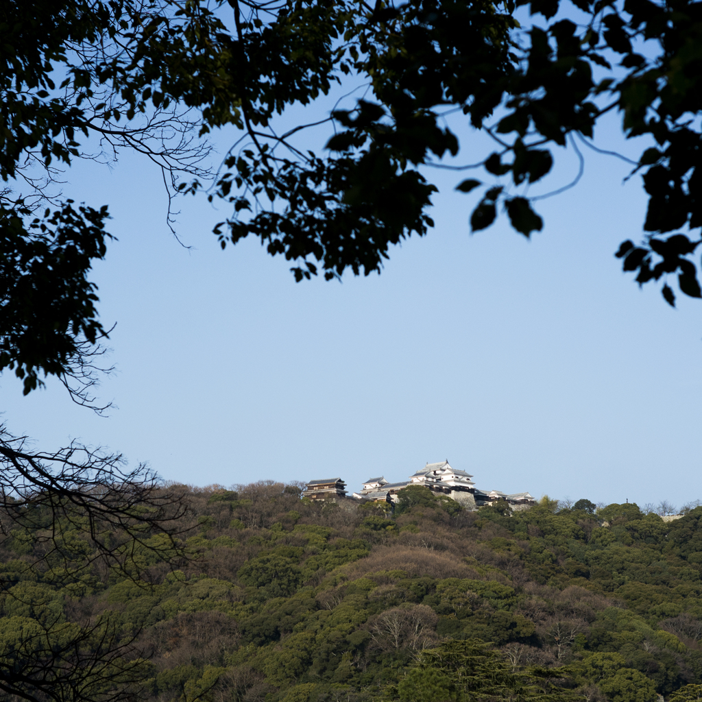 松山城遠景