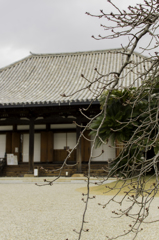 奈良法華寺