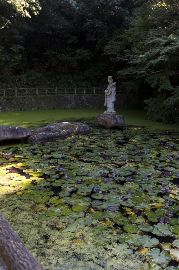 福山明王院弁天池