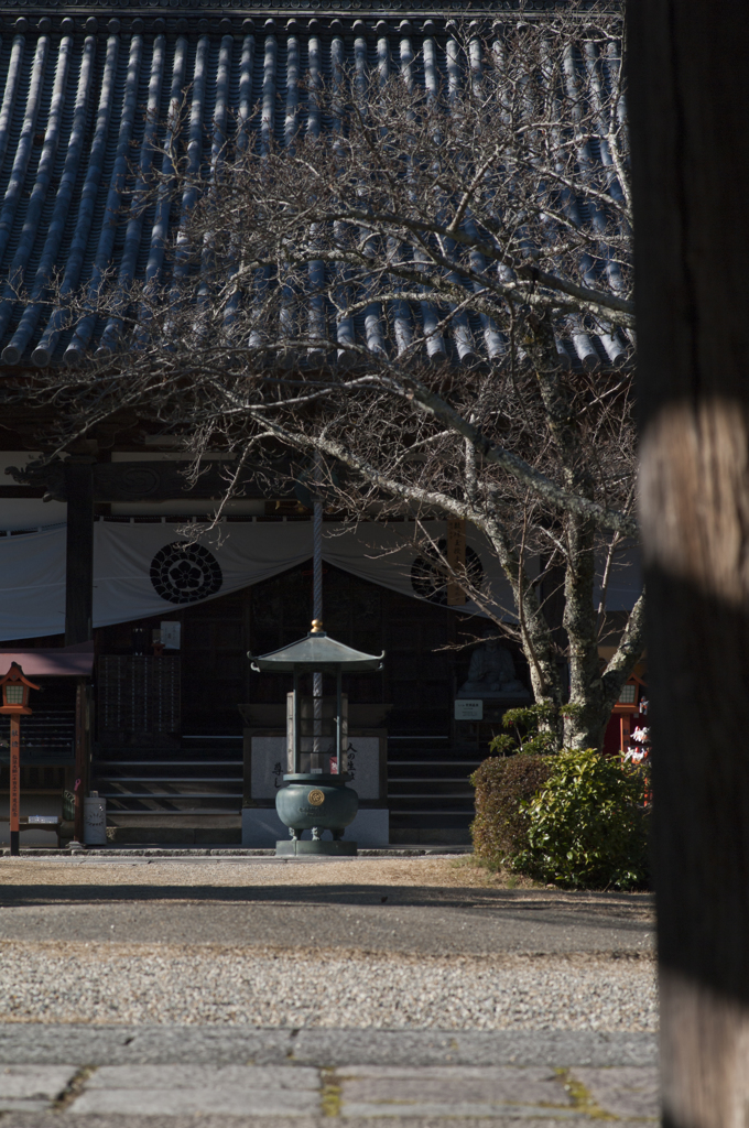 海住山寺本堂、山門より