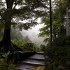 信貴山朝護孫子寺遠景