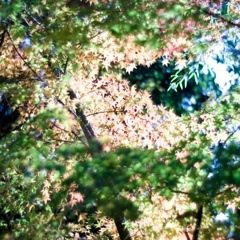 萬翠荘にて＃６