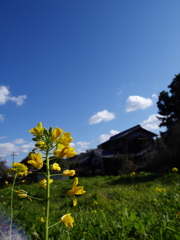 太山寺〜春近し#1