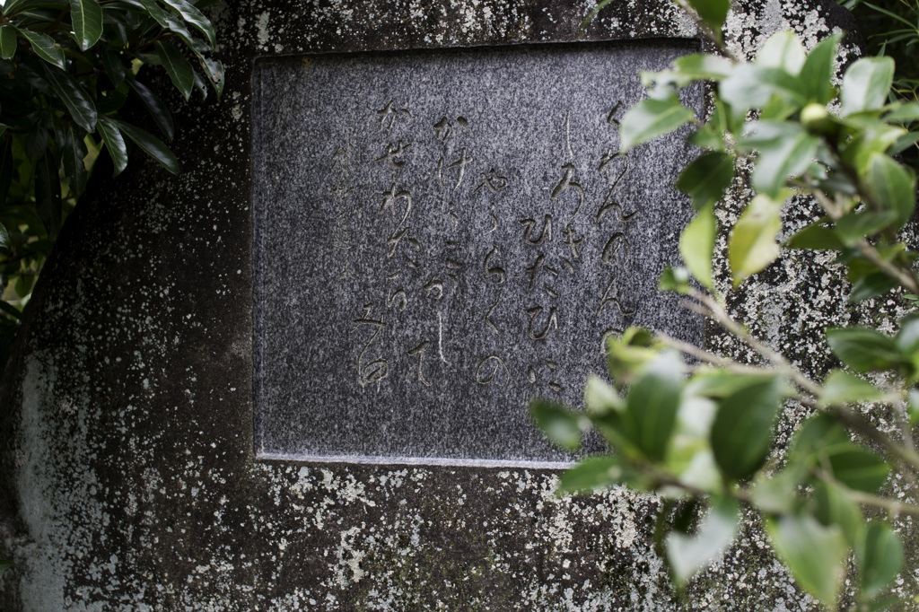 法輪寺にて
