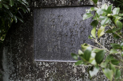 法輪寺にて