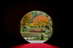 明月院