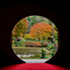 明月院
