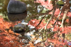 水面に映る紅葉