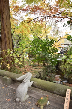 明月院　茶々橋