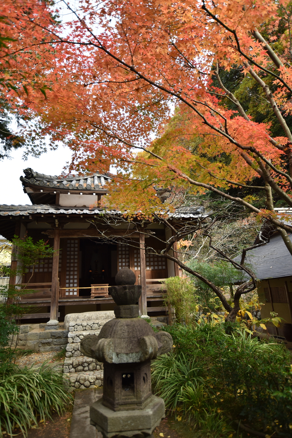 明月院