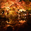 長谷寺　紅葉ライトアップ