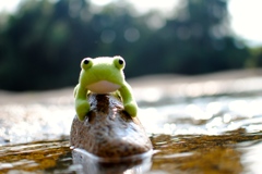 がまくんの水浴び