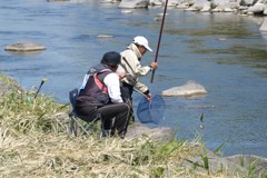 鮎釣り