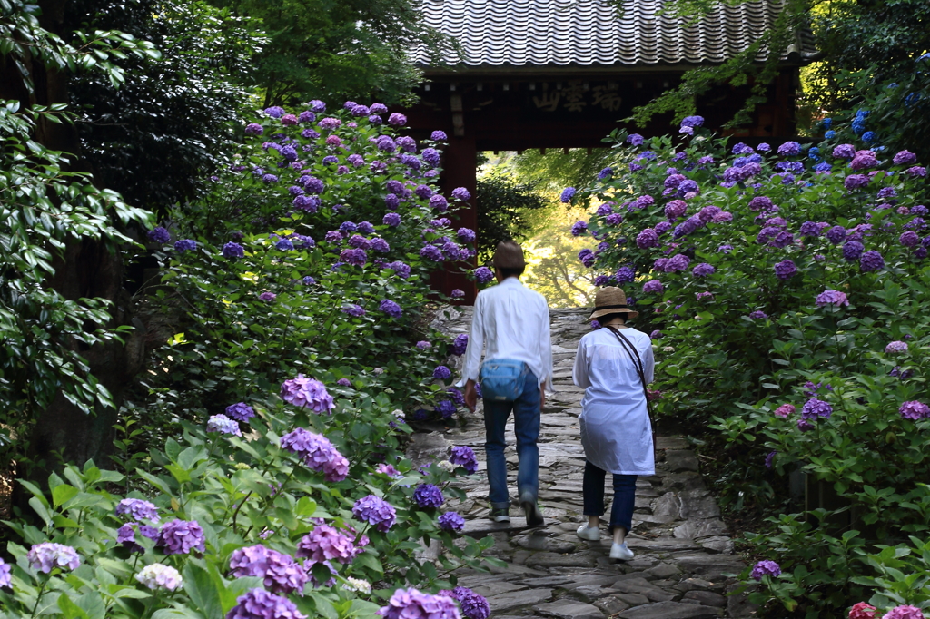 本光寺