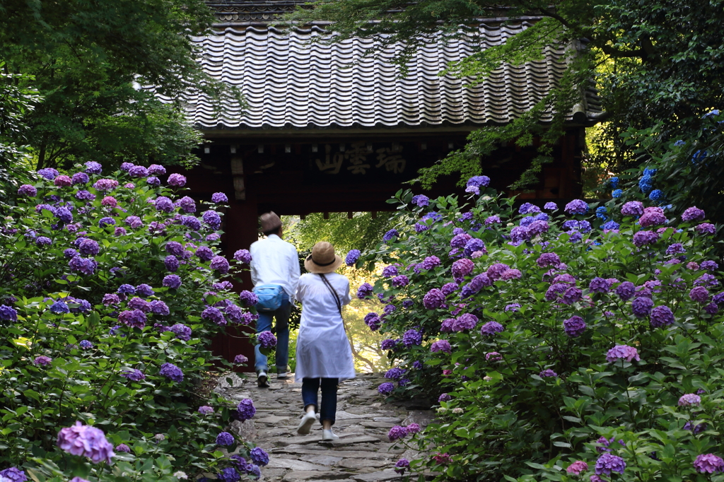 本光寺