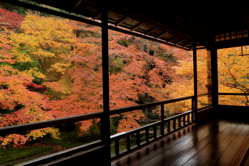 瑠璃光院