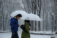 静寂の時