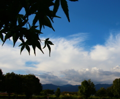 秋空～楓とともに～