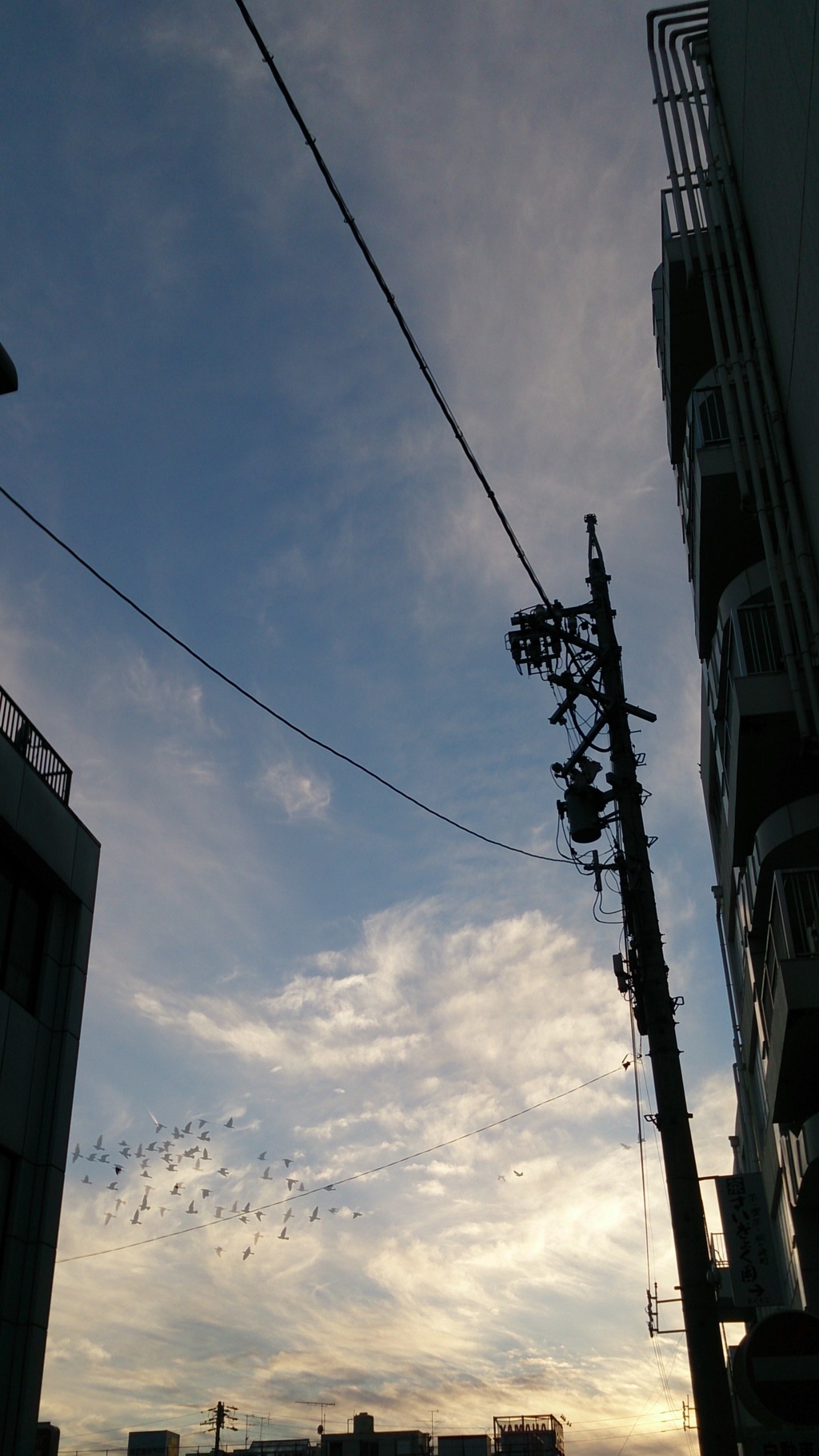 夕暮