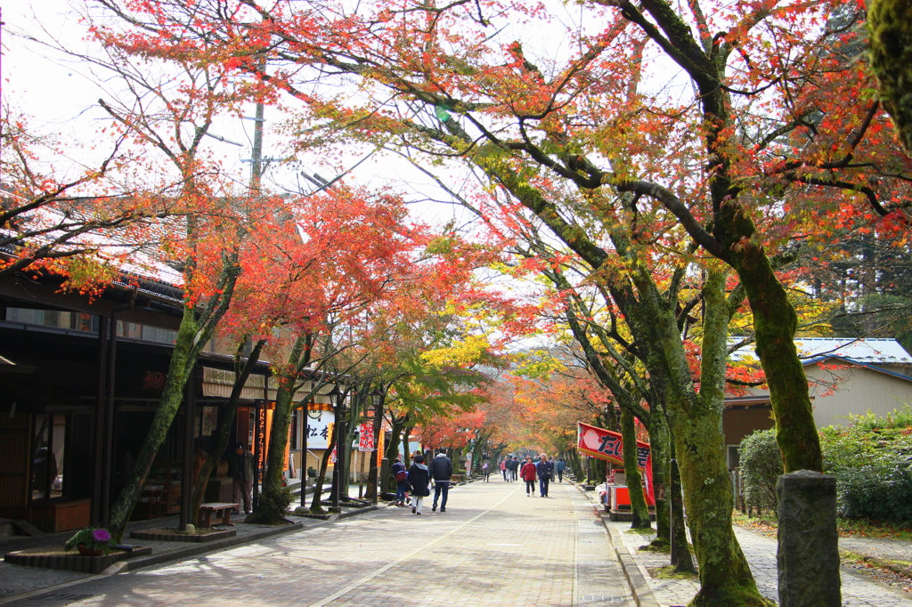 秋～参道～