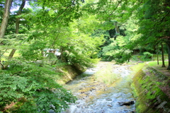 涼しさを感じて