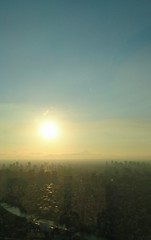 富士を臨む