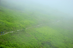 Fog