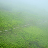 Fog