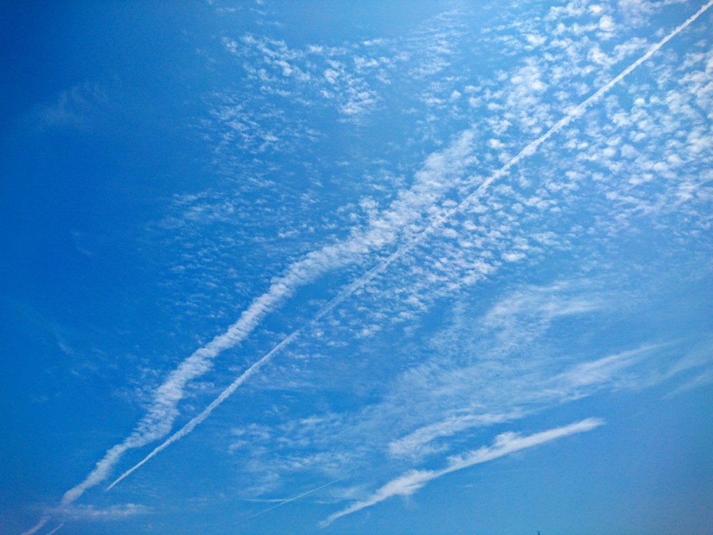 待ち遠しい！！