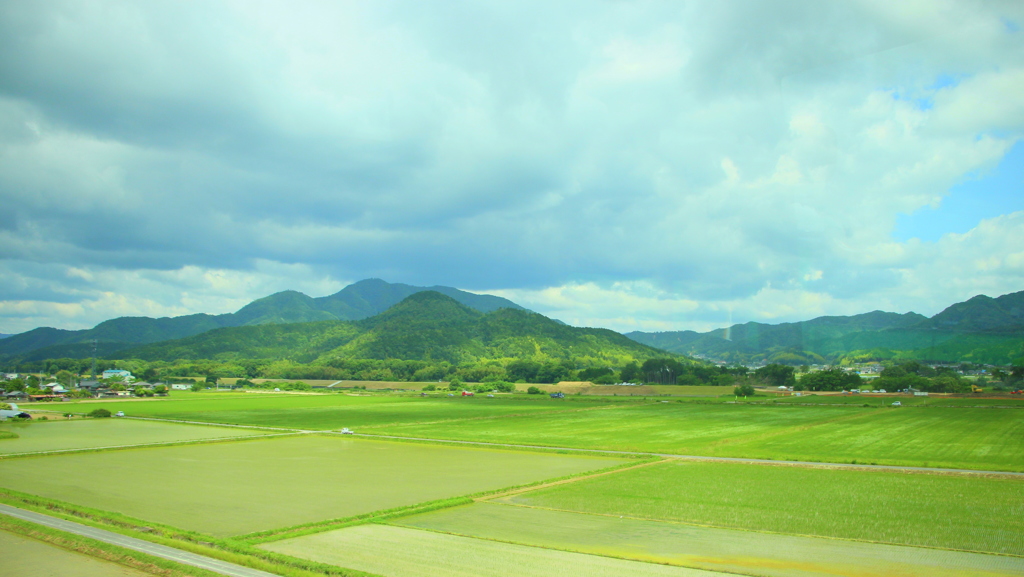 田園