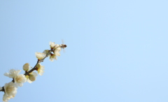 空に向かって