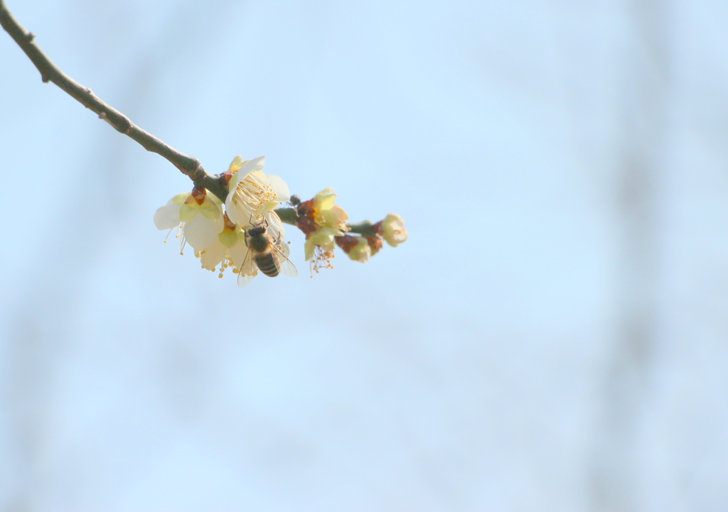 うんしょ、うんしょ