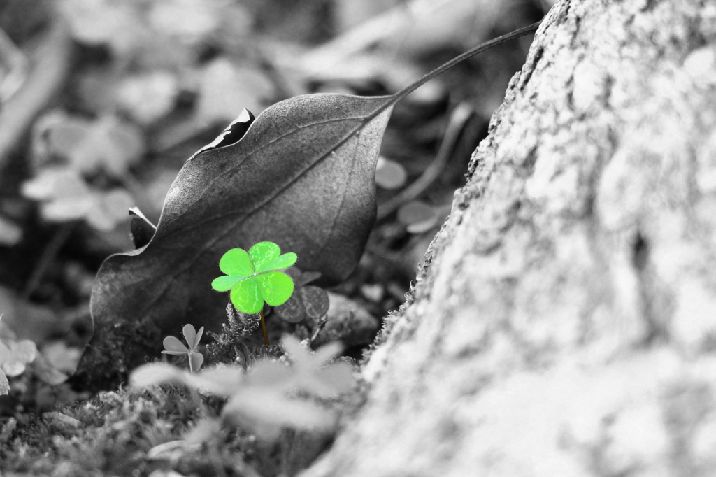 little green