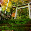 日本美