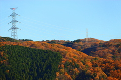 鉄塔と秋と