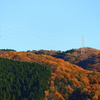 鉄塔と秋と