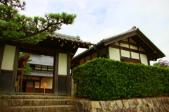 昭和の家屋