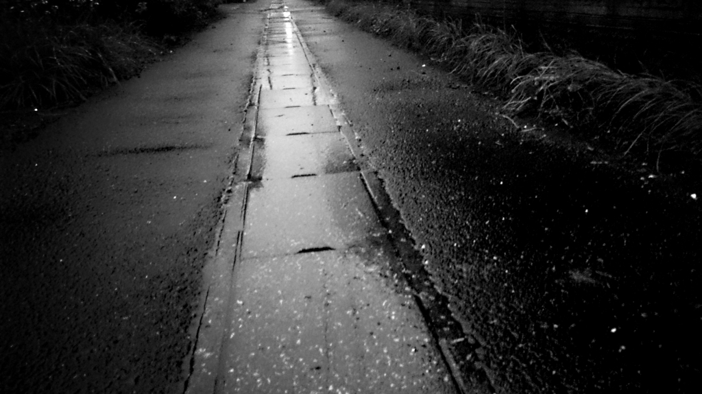 雨