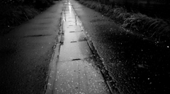 雨