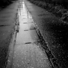 雨