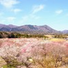心地よい